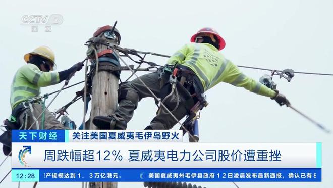 街木头杆？专家：你以为美国不想吗？龙8体育中国电线杆用水泥而美国满(图5)