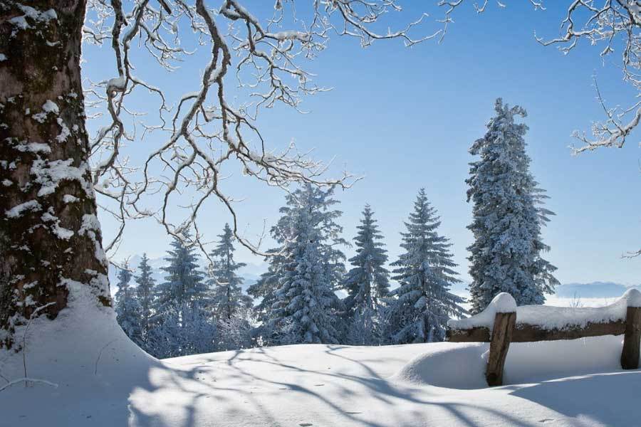 表健康监测功能升级小米发布新款智能手(图1)