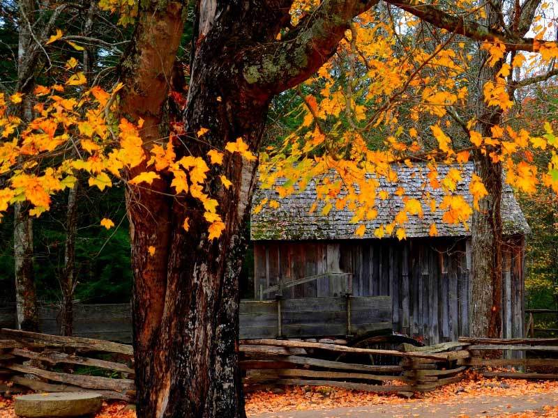 表健康监测功能升级小米发布新款智能手(图2)